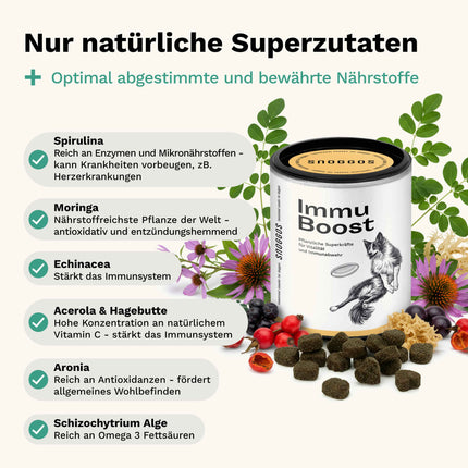 Snoggos Immu Boost – Ergänzungsfutter für Hunde