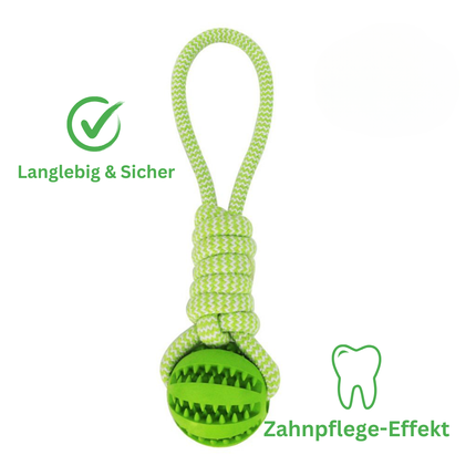 Kauspielzeug