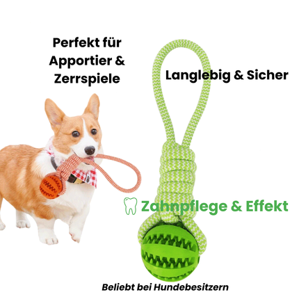Kauspielzeug