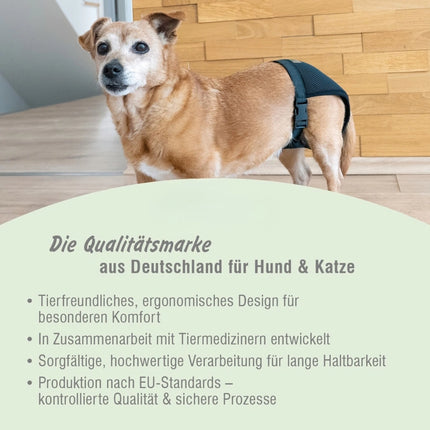 Läufigkeitshöschen für Hündinnen – waschbar & wiederverwendbar