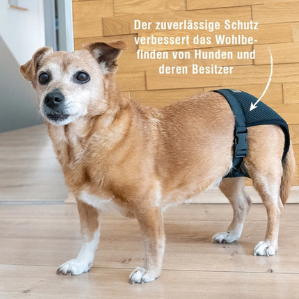 Läufigkeitshöschen für Hündinnen – waschbar & wiederverwendbar