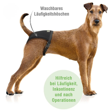 Läufigkeitshöschen für Hündinnen – waschbar & wiederverwendbar