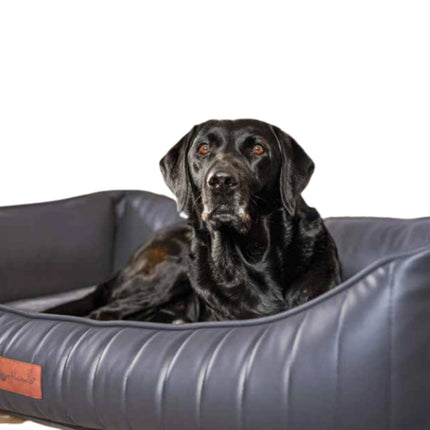 Petlando Linz Ortho – Orthopädisches Hundebett