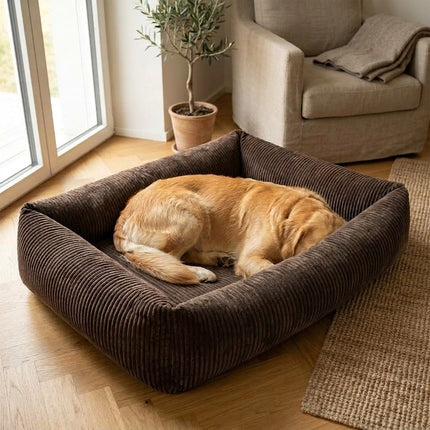 Hundebett mit Rand Like-Ortho Luke in Braun mit Hund im Wohnzimmer