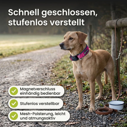 MAGNETECH Halsband in Fuchsia/Navy – leicht und atmungsaktiv