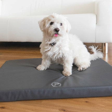 Orthopädische Hundematte Milton Ortho – Lederoptik