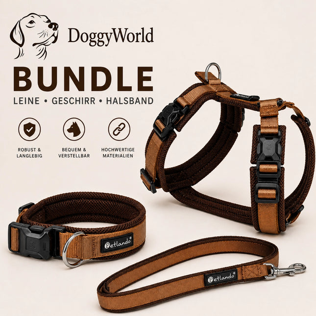 Hundegeschirr Set MAGNETECH – einfach anschnappen, entspannt losgehen