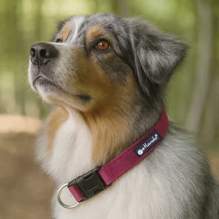 Outdoor Hundehalsband mit Mesh und Reflexstreifen