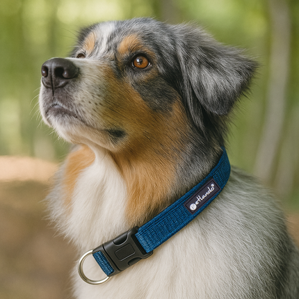 Outdoor Hundehalsband mit Mesh und Reflexstreifen