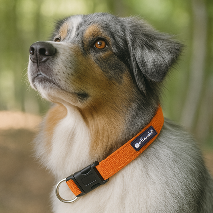 Outdoor Hundehalsband mit Mesh und Reflexstreifen