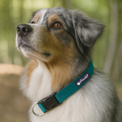 Outdoor Hundehalsband mit Mesh und Reflexstreifen