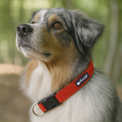 Outdoor Hundehalsband mit Mesh und Reflexstreifen
