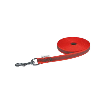 Gummierte Hunde Trainingsleine – rutschfest & robust