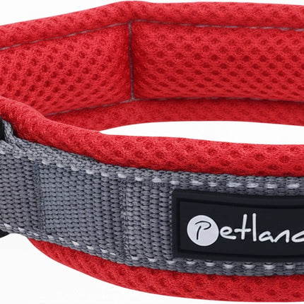 Collier d'extérieur pour chien avec maille et bandes réfléchissantes