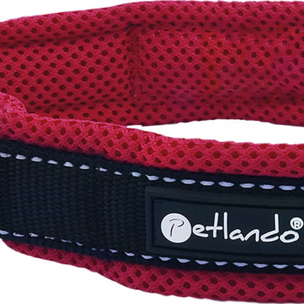 Collier d'extérieur pour chien avec maille et bandes réfléchissantes