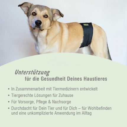 Waschbare Rüdenwindel für Hunde – wiederverwendbar