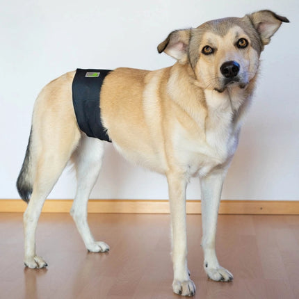 Waschbare Rüdenwindel für Hunde – wiederverwendbar