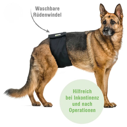 Waschbare Rüdenwindel für Hunde – wiederverwendbar