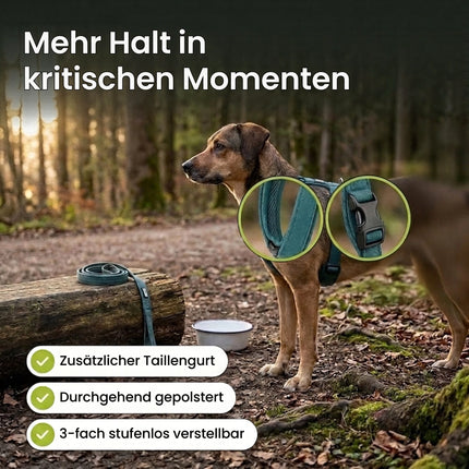 Sicherheitsgeschirr mit Taillengurt – mehr Halt in kritischen Momenten: zusätzlicher Taillengurt, durchgehend gepolstert, 3-fach stufenlos verstellbar