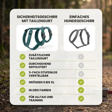 Vergleich: Sicherheitsgeschirr mit Taillengurt und einfaches Hundegeschirr