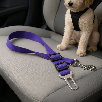Cintura di sicurezza per cani