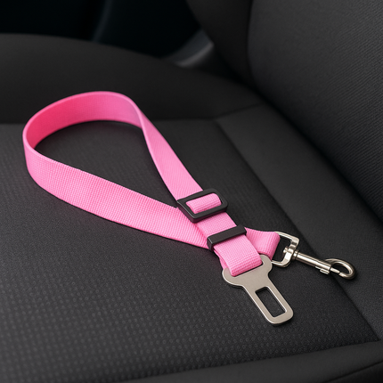 Cintura di sicurezza per cani