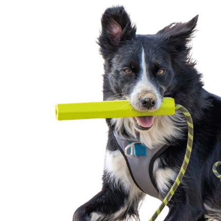 Hundespielzeug Wurfstab – schwimmfähig & robust