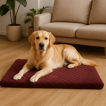 Hundematte STARLIGHT