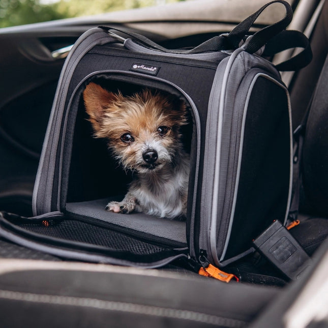 Transporttasche für kleine Hunde & Katzen – bis 7,5 kg | TRAVEL EASY