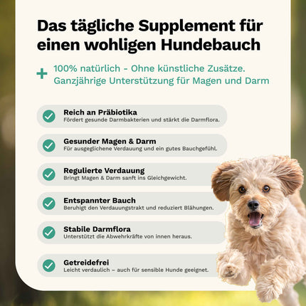SNOGGOS Tummy Love – Natürliche Darmpflege für Hunde