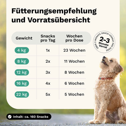 SNOGGOS Tummy Love – Natürliche Darmpflege für Hunde