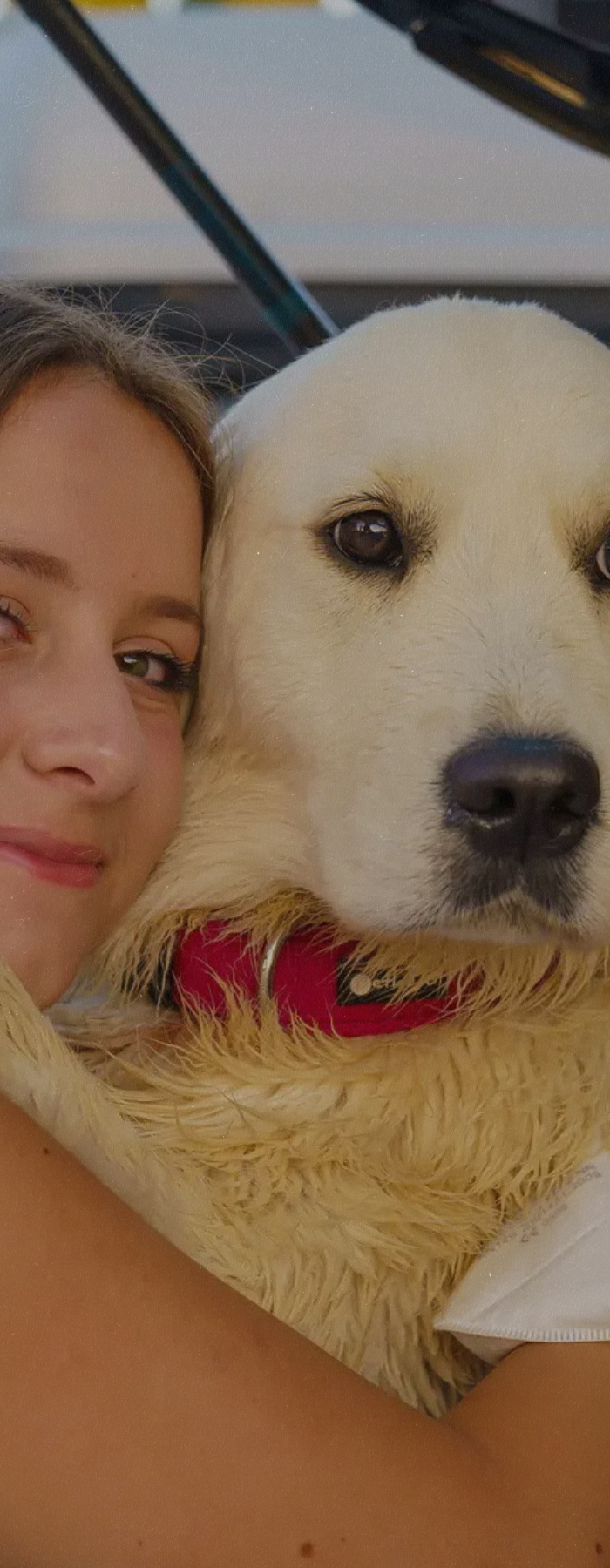 <h1>Gesunde Ernährung für glückliche Hunde</h1>