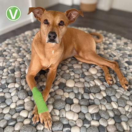 Anti-Lick Bandage für Hunde – selbsthaftender Schutzverband gegen Lecken & Knabbern