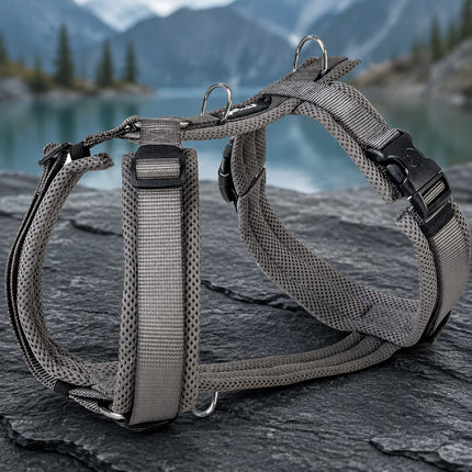 Mesh Y-Comfort Hundegeschirr – leicht, atmungsaktiv & verstellbar