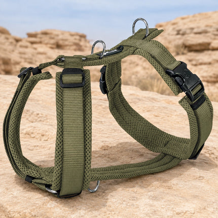 Mesh Y-Comfort Hundegeschirr – leicht, atmungsaktiv & verstellbar