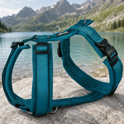 Mesh Y-Comfort Hundegeschirr – leicht, atmungsaktiv & verstellbar