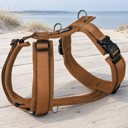 Mesh Y-Comfort Hundegeschirr – leicht, atmungsaktiv & verstellbar