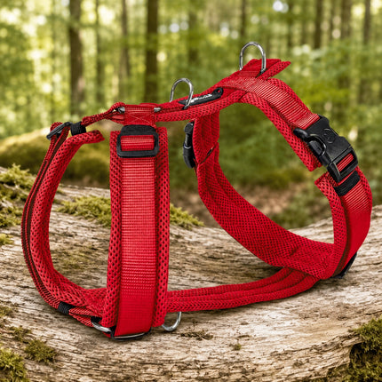 Mesh Y-Comfort Hundegeschirr – leicht, atmungsaktiv & verstellbar