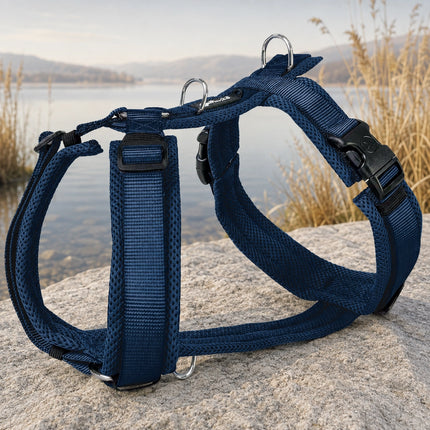 Mesh Y-Comfort Hundegeschirr – leicht, atmungsaktiv & verstellbar