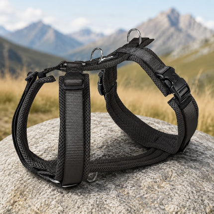 Mesh Y-Comfort Hundegeschirr – leicht, atmungsaktiv & verstellbar