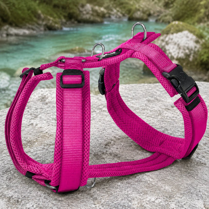 Mesh Y-Comfort Hundegeschirr – leicht, atmungsaktiv & verstellbar