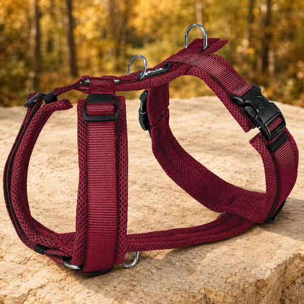 Mesh Y-Comfort Hundegeschirr – leicht, atmungsaktiv & verstellbar