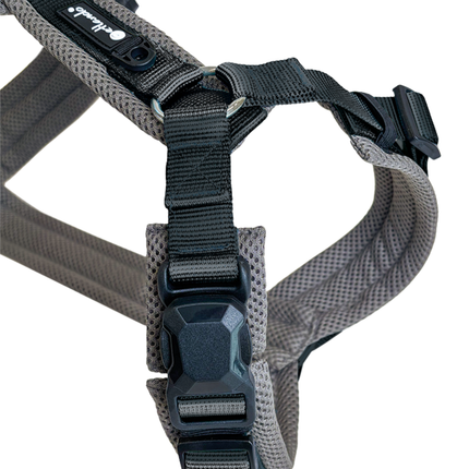 Y-Comfort Hundegeschirr – Magnetverschluss, verstellbar (Easy-Entrance)