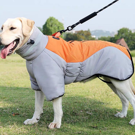 Wintermantel für Hunde – warm, weich & bequem