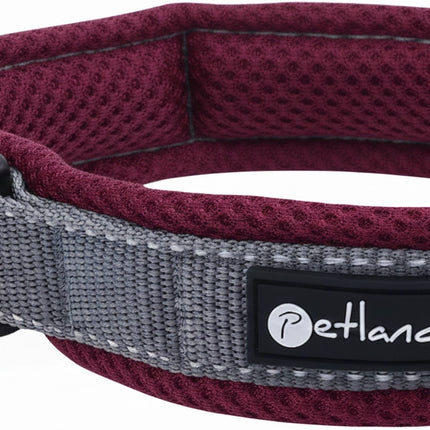 Collier d'extérieur pour chien avec maille et bandes réfléchissantes