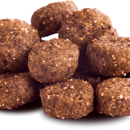 Minis – Rind (Adult) – Getreidefreies Trockenfutter für kleine Hunde