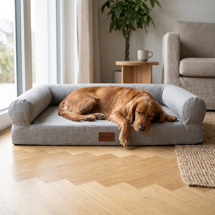 Hund schläft im orthopädischen Hundebett ALABAMA Ortho