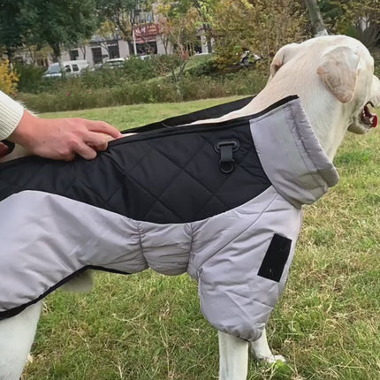 Wintermantel für Hunde – warm, weich & bequem