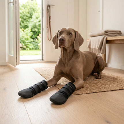 vetlando-pfotenschutzschuhe-hund-liegend-terrassentuer